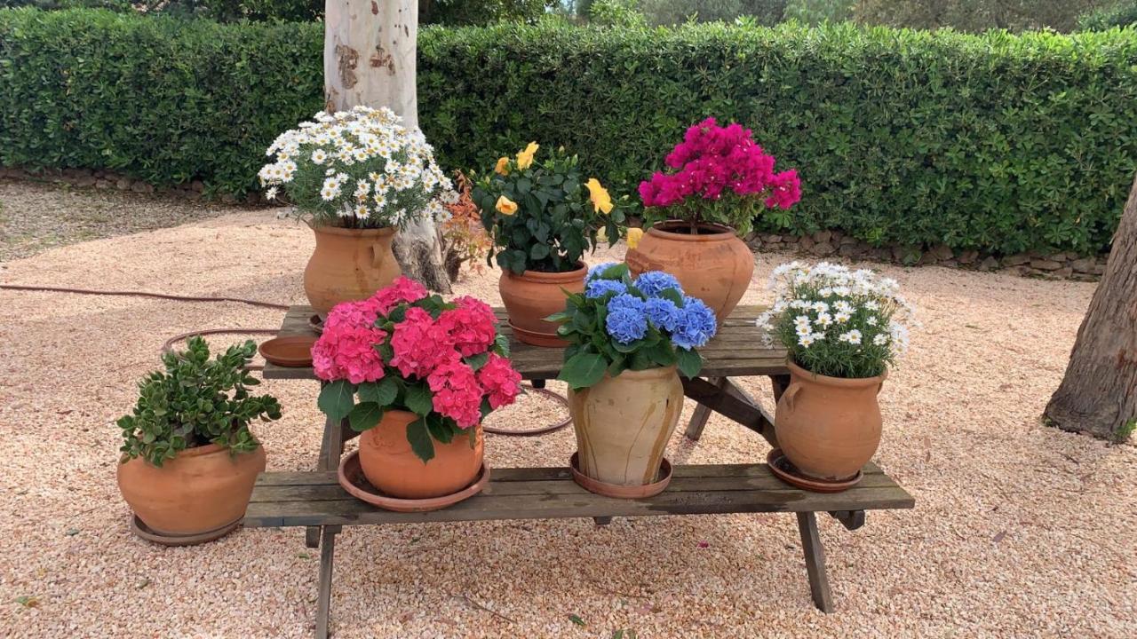 Villa Kentia Mallorca, Charming And Stylish Country House Close To Palma Extérieur photo